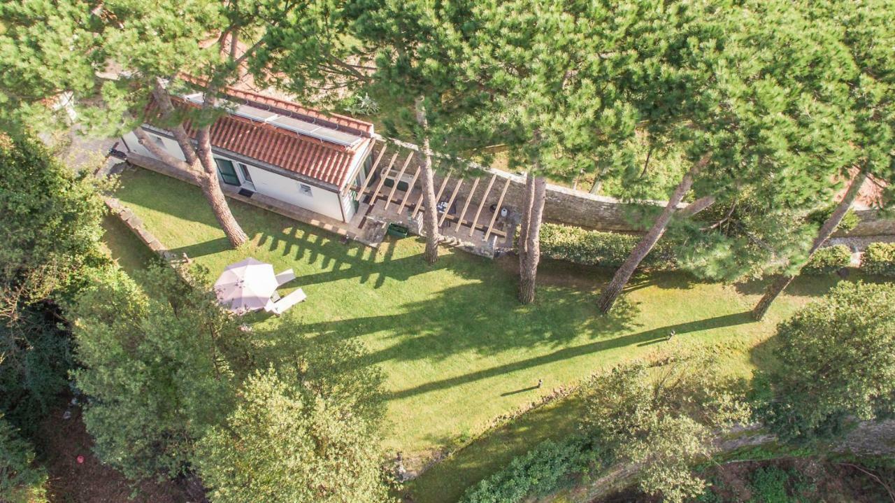 Gardenhouse Sarzana Apartment Luaran gambar